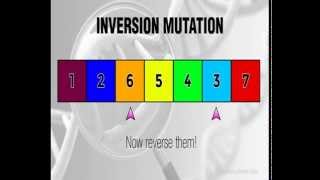Inversion Mutation - Genetic Algorithms