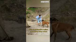 Download lagu Momen Seekor Anjing Yang Menyelamatkan Majikannya #funfacts mp3