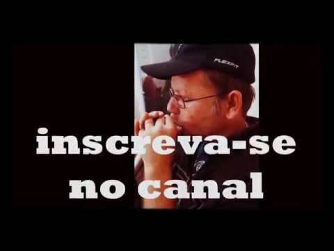 Autoridade e poder na gaita em Bb