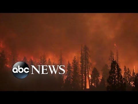 ABC News Live Update: Huge wildfires in western US
