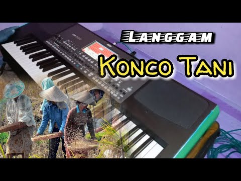Langgam KONCO TANI