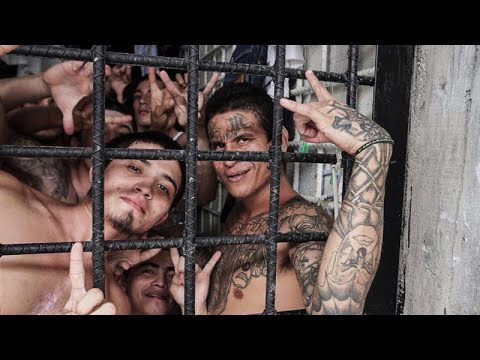 فيلم أكشن مترجم 2025 HD فيلم جديد يستحق المشاهدة أفلام الإثارة و التشويق Film Actio بجودة عالية