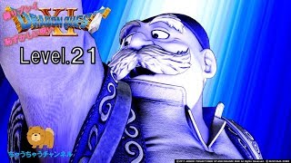 ムービーで見る【ドラクエ11】「怪鳥の幽谷～クレイモラン王国～古代図書館～リーズレット戦」レベル2１　実況なし「Dragon Quest Ⅺ」Level21