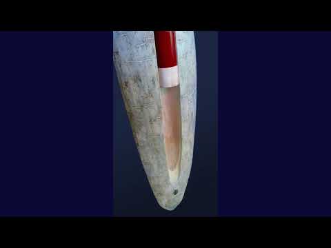 Collector's Edition Native American Style Low C 432Hz Flute with Wall Support
