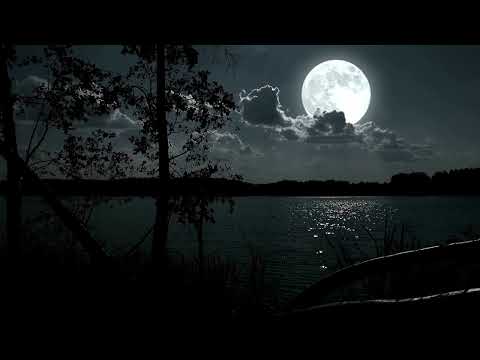 NATURE SOUND ONLY- Moon Lake Ambiance - Night Sky - 1 Hour Meditation Calming - Relaxing