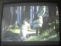 Shrek Smash N Crash Racing Intro