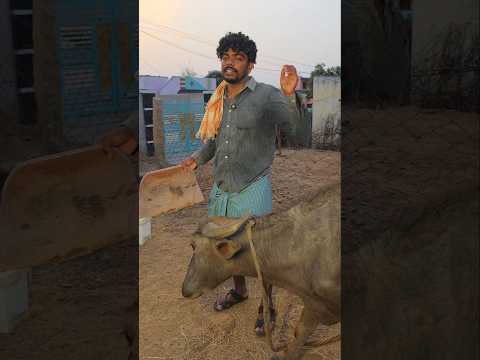 Wait for end 😂 #funny #comedy #jokes #sureshguru #memes #shorts