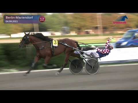 2021 MARION JAUß Deutsches Stuten-Derby Finale