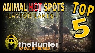 Top 5 Animal HOT Spots | Layton Lakes | theHunter Call of the Wild