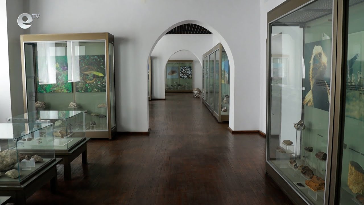 Наплив от туристи в РИМ Кърджали, възраждат Европейска нощ на музеите