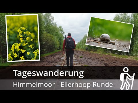 Himmelmoor - Runde vom Wanderparkplatz bei Ellerhoop (21,7Km) | Nahe Quickborn | Tageswanderung