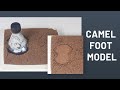 Camel Foot Model | ThinkTac | DIY Science