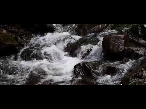 Gode Neagra Marosvolgye Mures