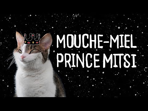 Mouche-Miel - Prince Mitsi (Official Video)