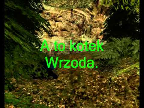 Gothic Bogdan w buszu