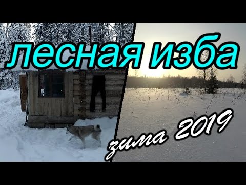 Лесная изба.Зима 2019