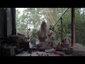 Home Session With O The Sundrop Garden