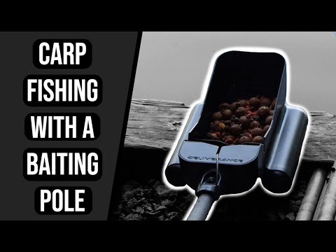 Catching Carp with a Baiting Pole - Cefn Mably - Lodge Lake