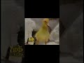 1993 Fox Kids Network We Ll Be Right Back Cool Your Heels Dynamo Duck Bumper