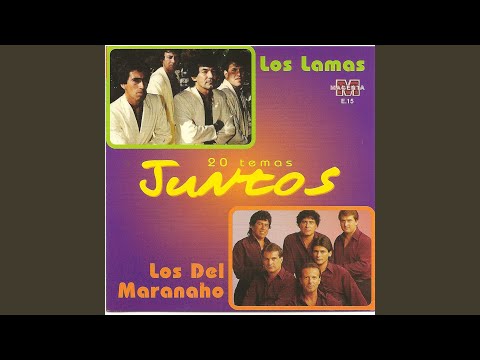 Que Me Dirían video