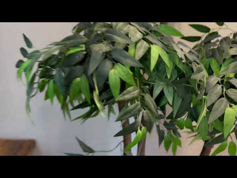 фото максима горького ул, 23, бобруйск, могилёвская область, 2 комн., 54 м² 0