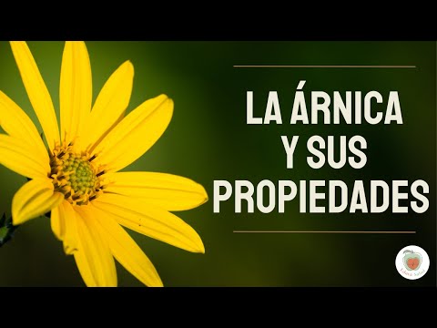 LA ARNICA Para qué Sirve. Sus Propiedades