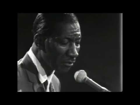 Hound Dog Taylor Shake Your Money Maker live 1967