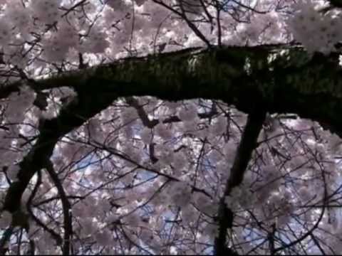 Gerard John Bernard Tribute