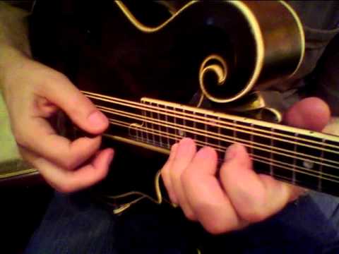 Mandolin Brothers:  Gibson H5 Lloyd Loar mandola