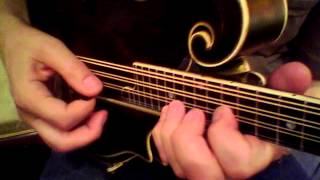 Mandolin Brothers:  Gibson H5 Lloyd Loar mandola