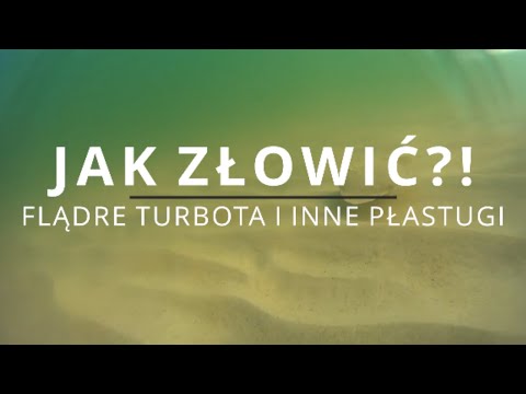 Jak Złowić Flądre Turbota I Inne Płastugi?! Łowimy Ryby Nad Polskim Morzem.