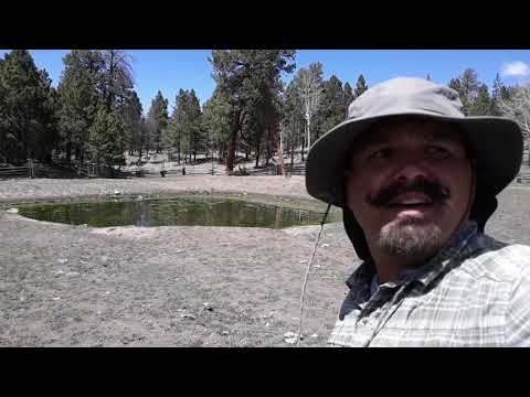 6. Grant's to Cuba, NM, 2021 CDT NOBO