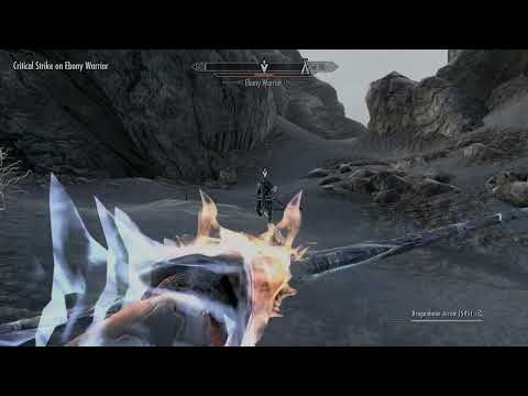 Ebony warrior vs stealth archer lvl80