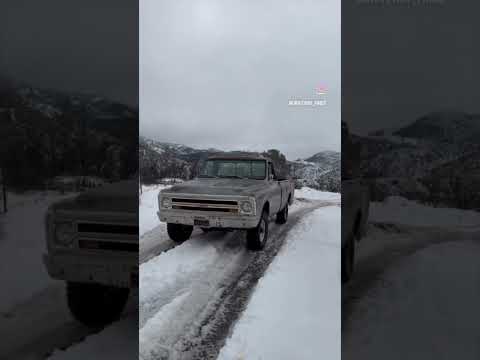 Thumbnail for Vintage trucks in the snow! #k10 #chevrolet #barnfind #vintage4x4 #drivewayfinds #oldtruck #gm by Chevrolet, Truck