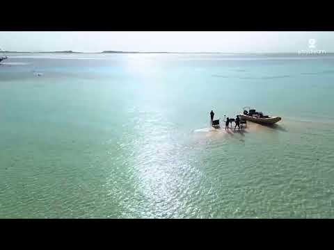 Playstream: Husa & Zeyada @ White Island