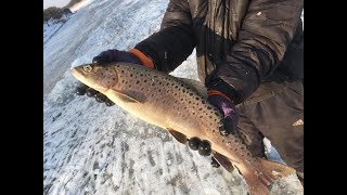 Рыбалка на урми хабаровского края