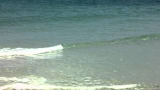 www.PensacolaSurf.com Surf Report