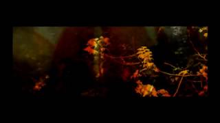 david sylvian -  the world is everything