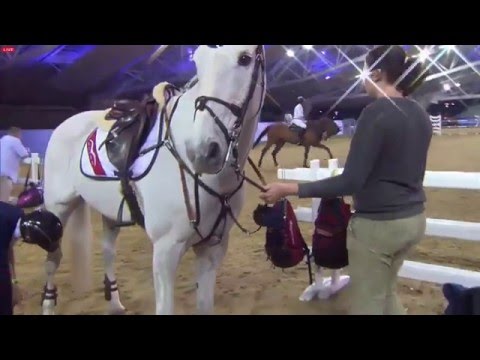 Bertram Allen (Molly Malone V) - Grand Prix of the CHI 5* Al Shaqab, 1m60, CHI5* of Al Shaqab