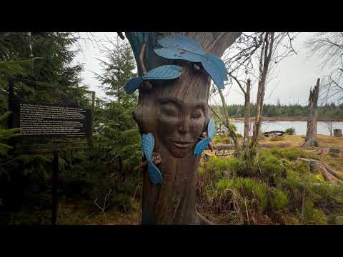 Wandern im Harz - Solo zur Stempelstelle 217 | Harzer Wandernadel | Sonnenkappe Oderteich