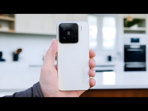Xiaomi lost everything