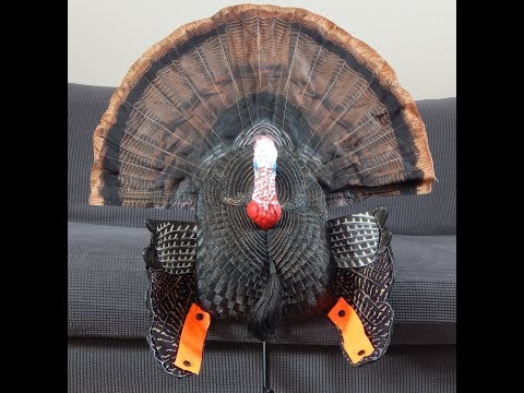 Mojo Scoot n Shoot Product Review