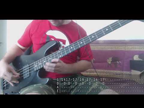 Red Hot Chili Peppers - Scar Tissue |Bass Cover]
