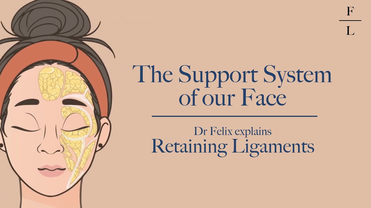 The support system of our face | DrFL explains Retaining Ligaments