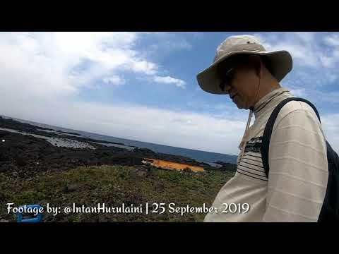 Olle Journey: From Wollyeong-ri to Geumneung Beach