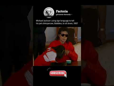 Michael Jackson’s Unexpected Moment with His Chimp in Japan (1987) #shorts #michaeljackson