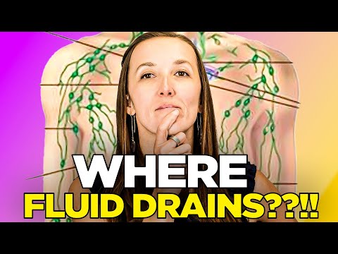 Lymphatic Drainage: WHERE THE FLUID DRAINS??!!