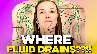 Lymphatic Drainage: WHERE THE FLUID DRAINS??!!