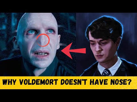 Why voldemort don't have nose | Explained in hindi | Ayaan - The Wizarding Universe