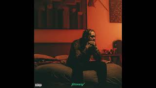 Go Flex - Post Malone HQ (Audio)